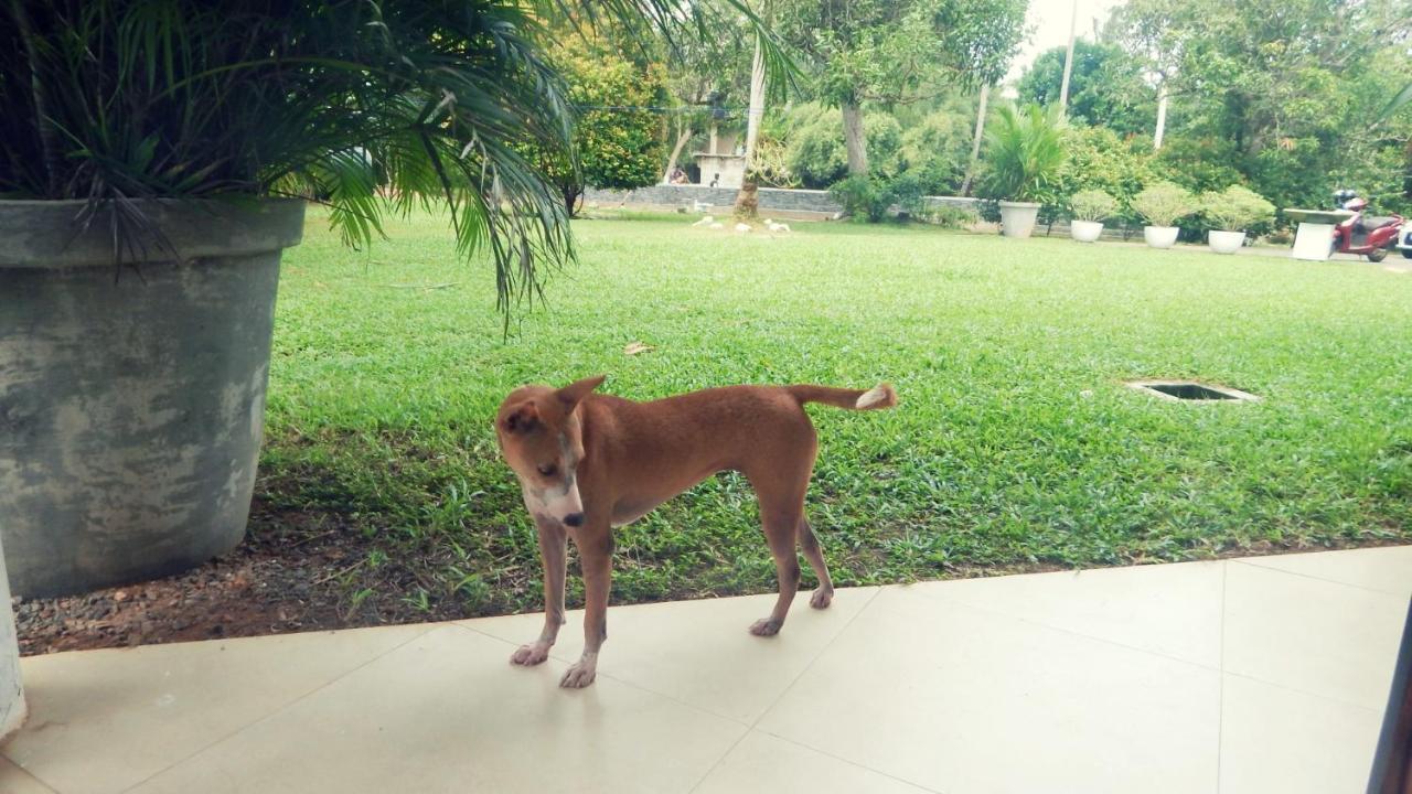 Villa South Unawatuna Bagian luar foto